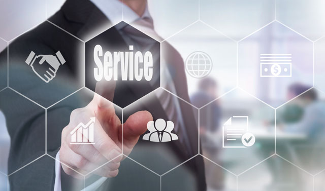 Hosting & Dedicated Maintenance